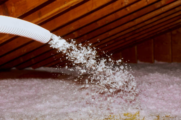 Best Insulation Replacement Services  in Valdese, NC