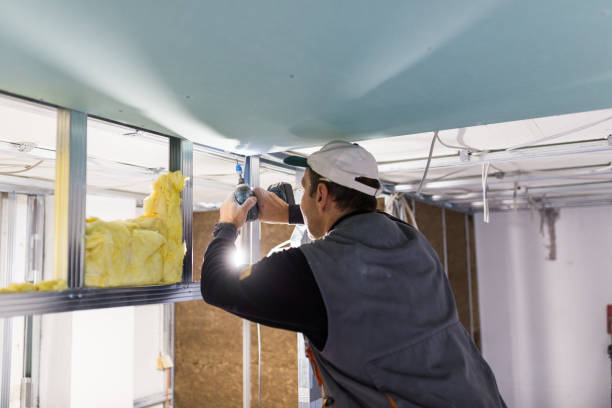 Best Energy-efficient Insulation  in Valdese, NC