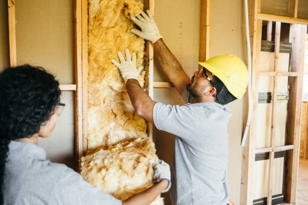 Best Insulation Removal  in Valdese, NC