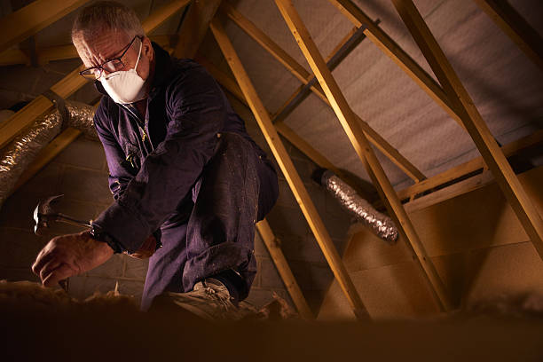 Best Wall Insulation Contractor  in Valdese, NC