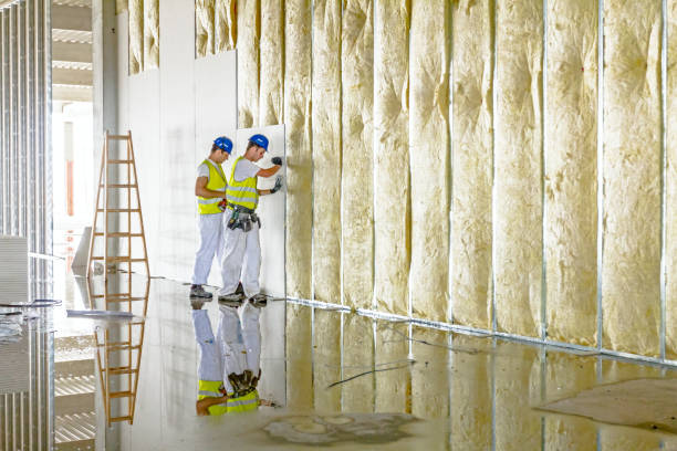Best Local Insulation Services  in Valdese, NC